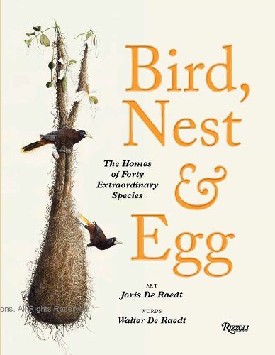 Cover image for Bird, Nest & Egg