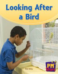 Cover image for Looking After a Bird