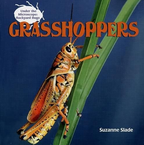 Grasshoppers