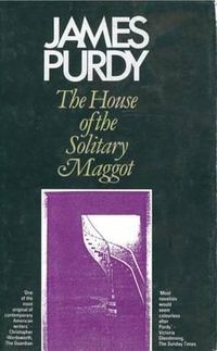 Cover image for The House of the Solitary Maggot