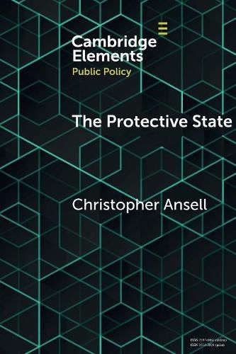 Cover image for The Protective State