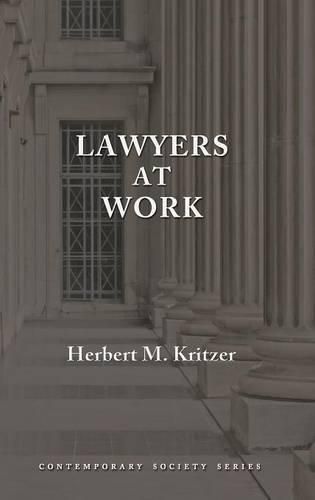 Cover image for Lawyers at Work