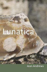 Cover image for Lunatica