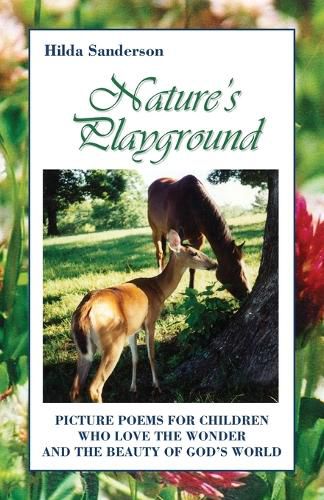 Cover image for Nature's Playground