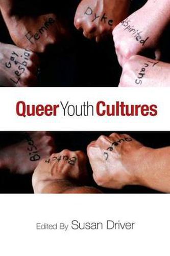 Cover image for Queer Youth Cultures