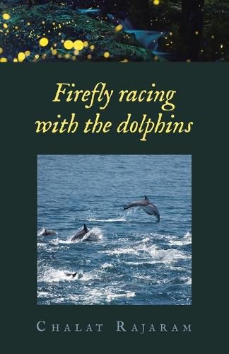 Cover image for Firefly racing with the dolphins