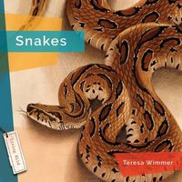 Cover image for Snakes