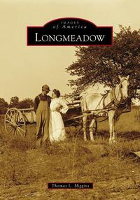 Cover image for Longmeadow