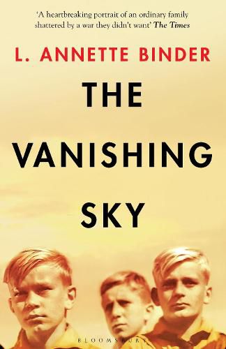 Cover image for The Vanishing Sky