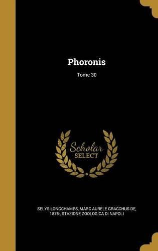 Cover image for Phoronis; Tome 30
