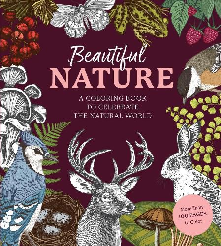 Cover image for Beautiful Nature Coloring Book