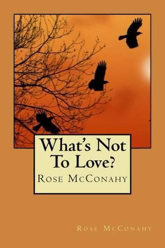 Cover image for What's Not to Love?