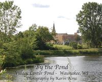 Cover image for By the Pond