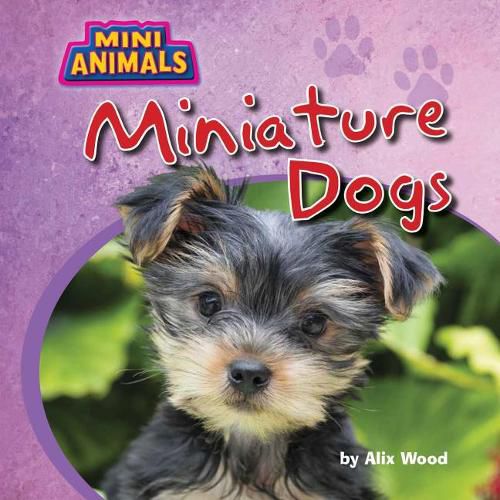 Cover image for Miniature Dogs