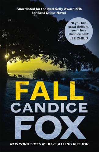 Cover image for Fall