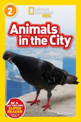 Cover image for Animals in the City (L2)