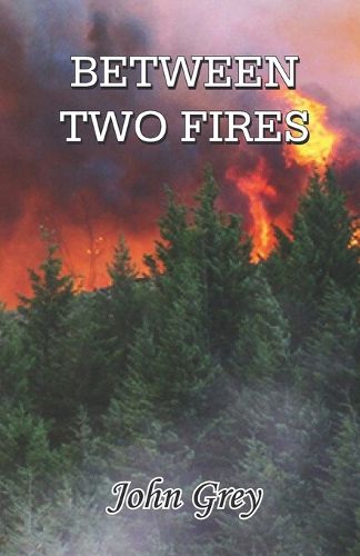 Cover image for BETWEEN TWO FIRES