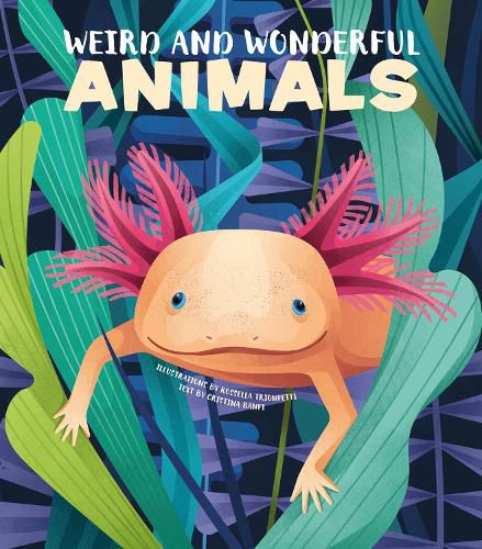 Cover image for Weird and Wonderful Animals