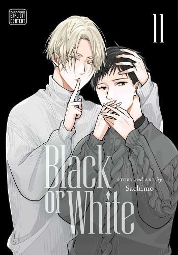 Cover image for Black or White, Vol. 11