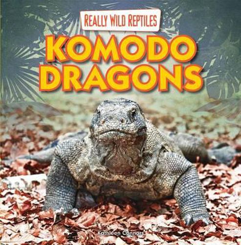 Cover image for Komodo Dragons
