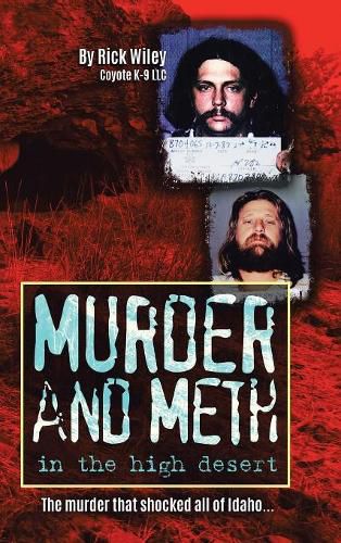 Cover image for Murder and Meth in the High Desert