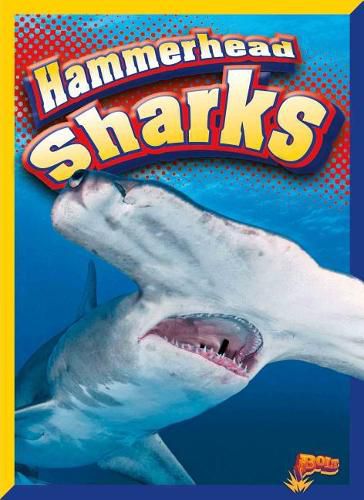 Cover image for Hammerhead Sharks