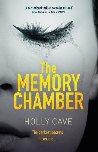 Cover image for The Memory Chamber