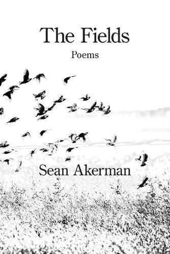 Cover image for The Fields