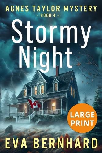 Cover image for Stormy Night - Large Print Edition