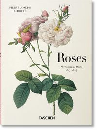 Cover image for Redoute. Roses