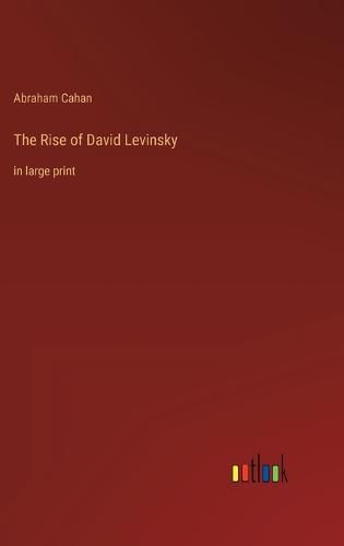 Cover image for The Rise of David Levinsky