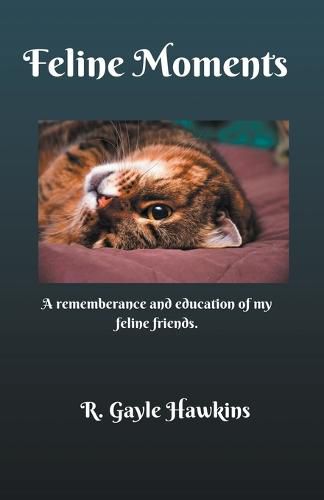 Cover image for Feline Moments