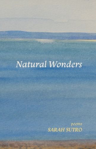 Cover image for Natural Wonders