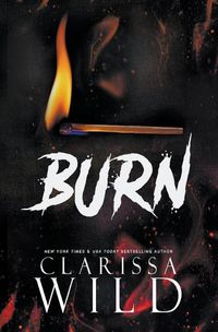 Cover image for Burn