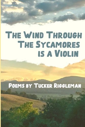 Cover image for The Wind Through the Sycamores is a Violin