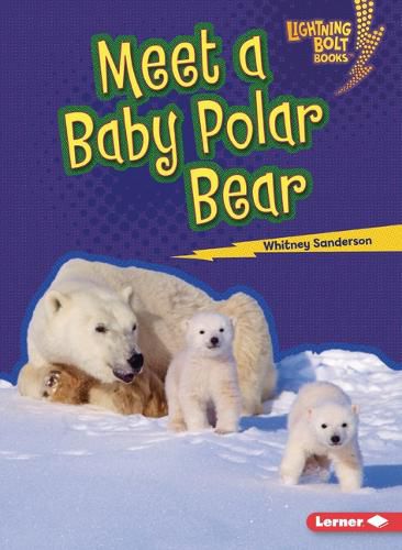 Cover image for Meet a Baby Polar Bear