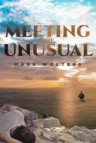 Cover image for Meeting the Unusual