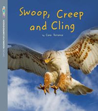 Cover image for ORFC Decodable Book 32 - Swoop, Creep and Cling Pack