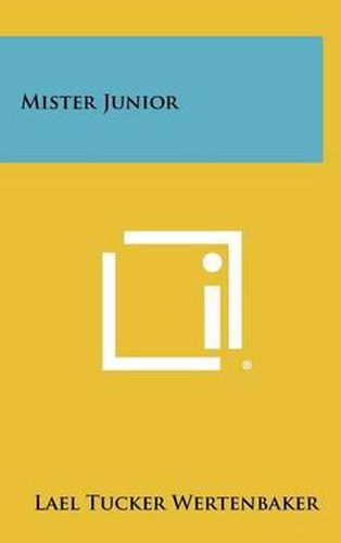 Cover image for Mister Junior