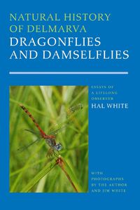 Cover image for Natural History of Delmarva Dragonflies and Damselflies