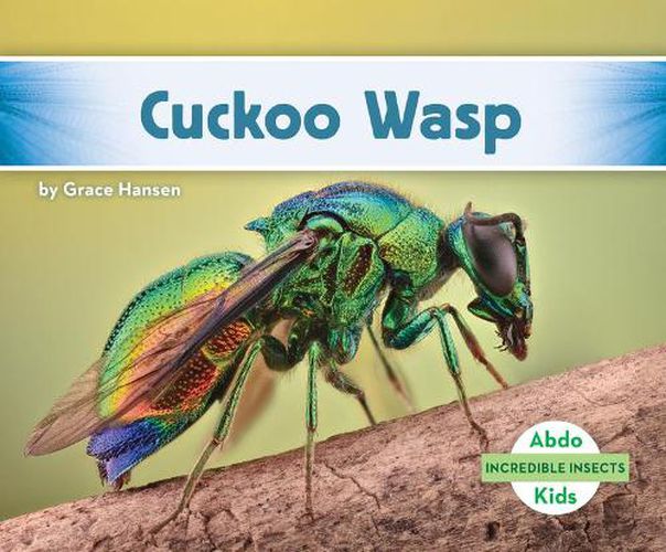 Cover image for Cuckoo Wasp