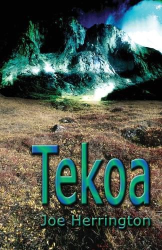 Cover image for Tekoa