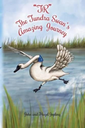 Cover image for TR The Tundra Swan's Amazing Journey