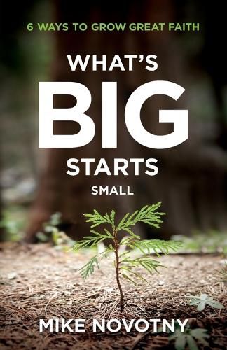 Cover image for What's Big Starts Small: 6 Ways to Grow Great Faith