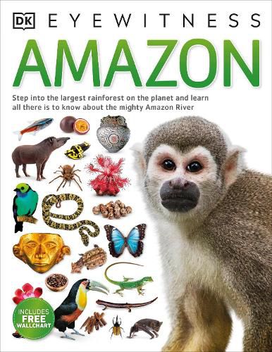 Cover image for Amazon