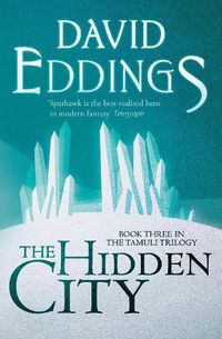 Cover image for The Hidden City