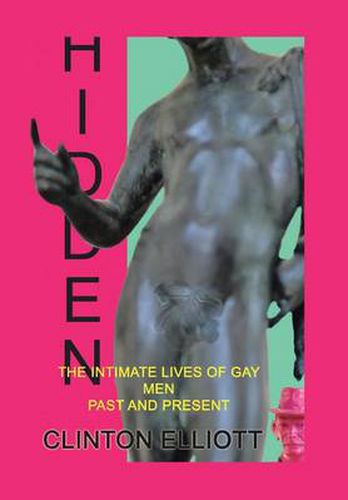 Cover image for Hidden