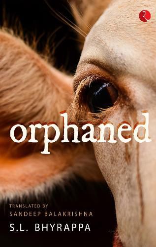 Cover image for ORPHANED