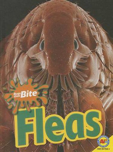 Fleas