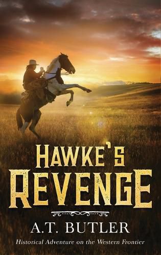 Cover image for Hawke's Revenge